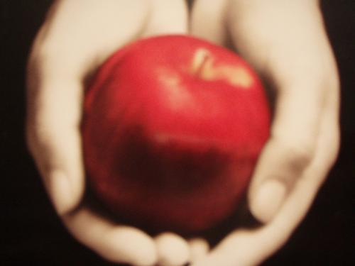 Apple - Hands holding an apple