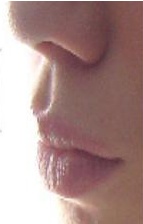 philtrum - dent that runs from under the nose to the top of the lip