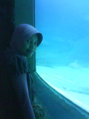 Bluish... - blue moment..