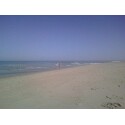 Beach - Photo at North Carolina Outer banks
