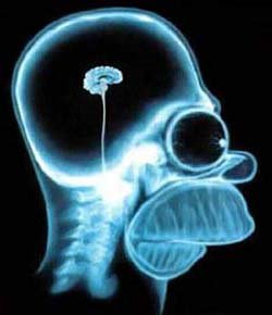 Mind - Brain of Homer Simpson.