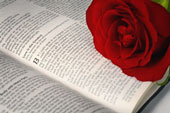 Bible - Open Bible with a red rose on it