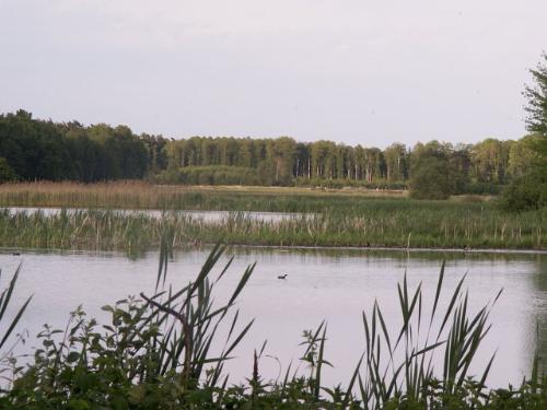 mylotting - mylotting from the lake