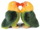 Love Even in Animals - As everybody sees in this photo, even animals could or might love each other. Just see how they protect their families, the pandas, dogs, cats, penguins, etc. Love is a very powerful thing, created by God. If animals can do it, why can't we humans?