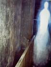 paranormal - paranormal,feelings,mystery