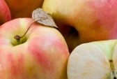 Apples as healthy food - Picture of three apples as healthy food.