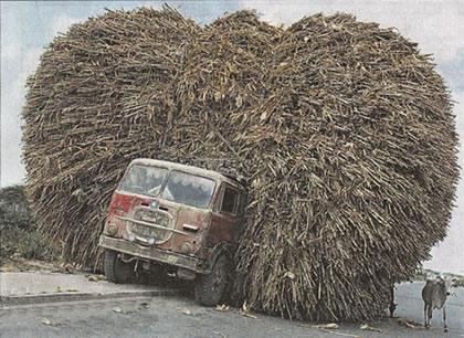 It's only in india - It is only in india ...Best places to be visited:1)kerala 2) Goa 3) New delhi 4)shimla 5)Manaly