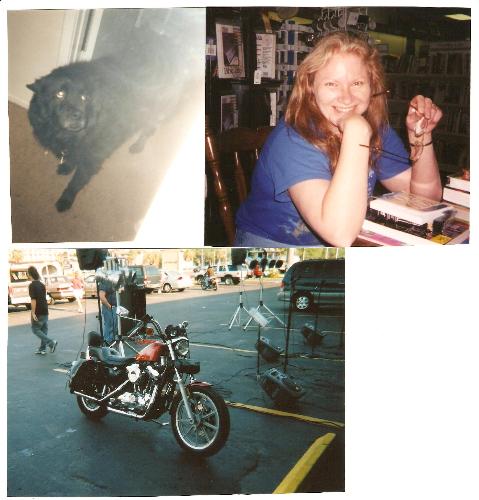 My husband's 'girls' - This is a picture my husband, Joe, created. It's his Harley-Davidson motorcycle, which he has been re-doing for about 2 years. It'll be a showpiece when it's done!  Also, it's a picture of me and Little Bear, one of our first dogs after we married. We loved and lost her about 1.5 years ago, but we still miss her very much! She was the sweetest, toughest, most protective, and strongest dogs I've ever known!