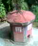 Tulsi plant - Tulsi, the sacred plant, kept at every Hindu household.