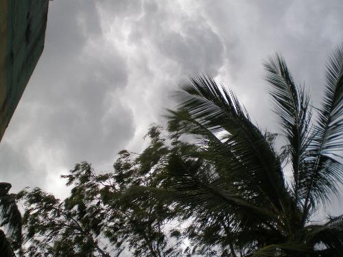 staring at the skies - a nice pic from my house