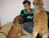 me and the pups - This is me and our puppies, Lars and Chelsea. Lars is a bull mastiff and Chelsea is what I like to call a Norwegian Borschaund. Really I think she is a german shepherd and retriever mix...we rescued her from the mountains and she is a handful!
