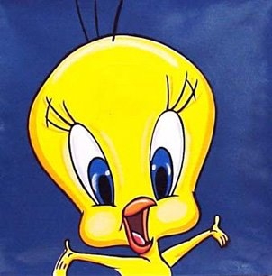 tweeey - Tweety is the best She is made for flying