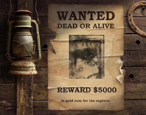 most wanted - every bodys most wanted