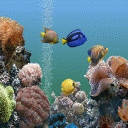 fish - animated fish