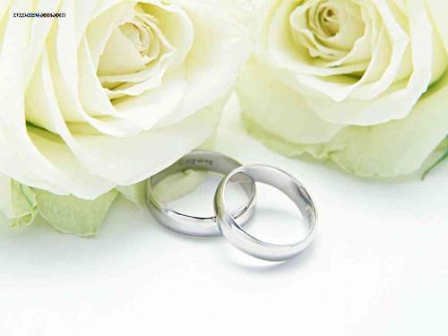 Wedding rings - the perfect one............