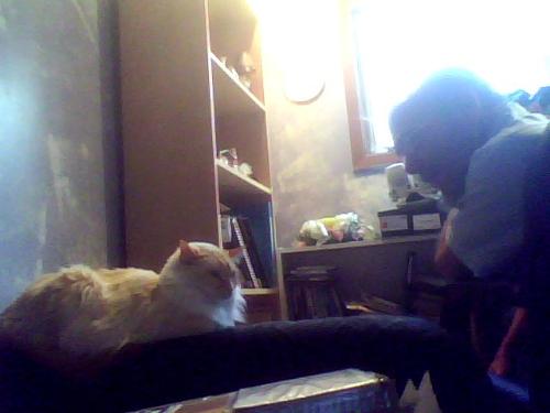 Shakti And My Husband Having A Little Chat - It's so cute the way my cat and my hhusband talk to eachother. :)