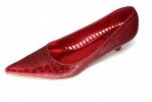 Shoe - A red colored ladies shoe
