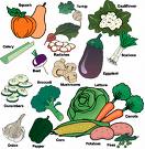 vegetables--my favorite - I love to eat vegetables very much. I eat it every day.