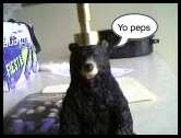 bear - i randomly took a picture of my bear that gives me soap!