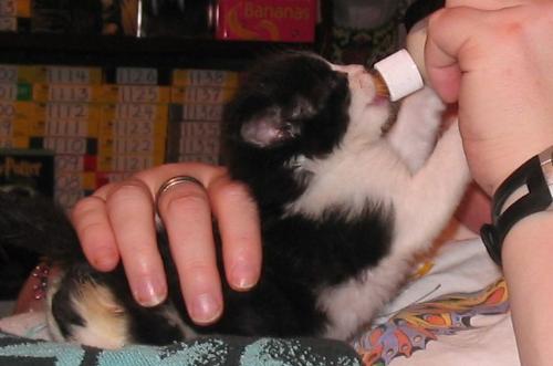 Oliver and his bottle - a few days later
