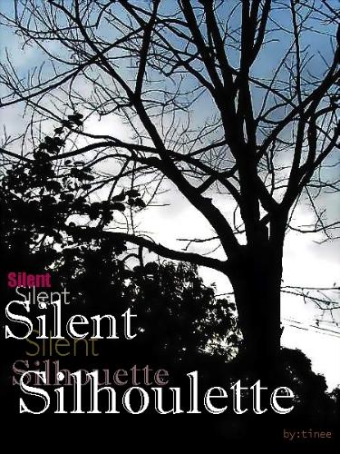silent silhoulette - silhoulette type of photo... it is photography before the sun sets. One of my photo collection. It has that dramatic effect of atmospheric state of trees.