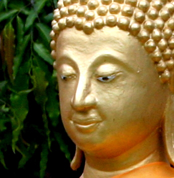 Buddha - Face of the Buddha.