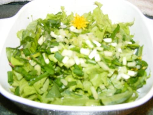 Salad from our First Garden - Here is the first salad we made from our first garden -- leaf lettuce, scallions, green onions, hosta leaves, dandelion green and flower, parsley. Tasty and tender.