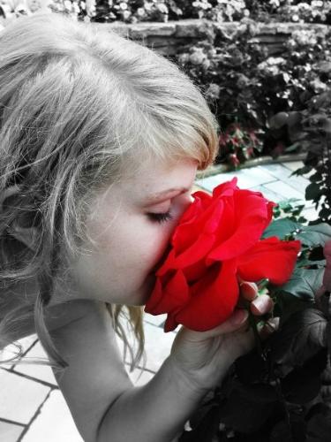 Como Zoo - Photoshop - This is a self-portrait at the como zoo. I adjusted the color to be black and white except for the rose.