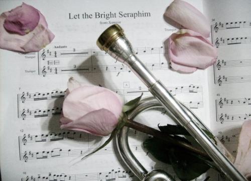 Trumpet with Rose Pedals - I took this a few years ago - my xeno trumpet on Let the Bright Seraphim with rose pedals.