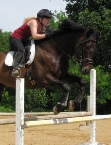 Horse Jumping - This is myself jumping with Guiness, a horse from my aunt's boarding stable. I hadn't ridden in quite some time! Please excuse my form.