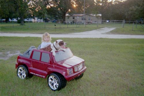 My niece Hanna and her dog Cissy riding together  -  I thought this picture turned out really good of my niece when she was about 3 years old and her dog Cissy