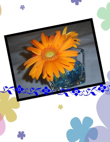 Daisy - Daisies are so simple, yet so elegant. And they can be colorful too. That's why I love daisies.