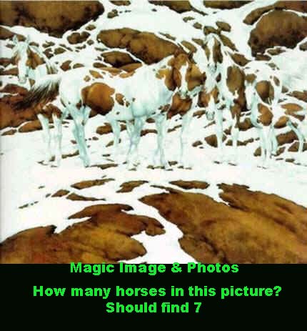 Magic Photo Image  - How many horses in this picture? Should find 7