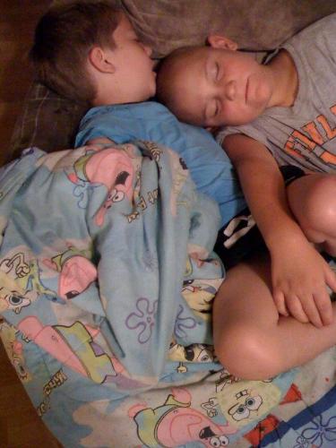I came home tonight to find two of my boys cuddled - I came home tonight to find two of my boys cuddled up on the couch together