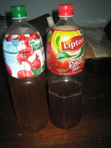 iced tea in big bottles - When we eat outside, we usually buy iced tea in big bottles so that it is a lot cheaper then we just ask for plastic cups with ice