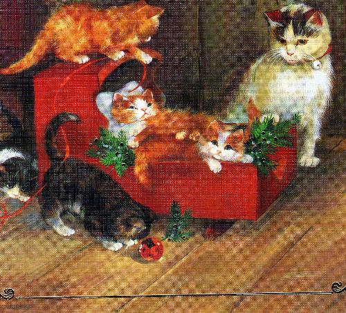 The cats are celebrating Christmas day! - See! Cats are celebrating Christmas Day! They enjoy each other! How about us?
