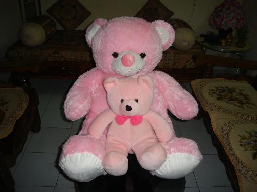 Teddy Bears - Big one was given on my Birthday as a Gift by my Brother-in-law :) Small teddy is my Sister's that is also given by him (Sister's Husband) :)