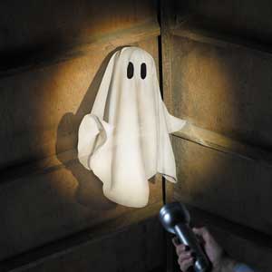 ghosts!!! - Who you gonna call?!!