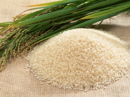 Rice - after harvesting this product is called rise.