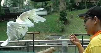 gypsy - gypsy really need lots of training lol..