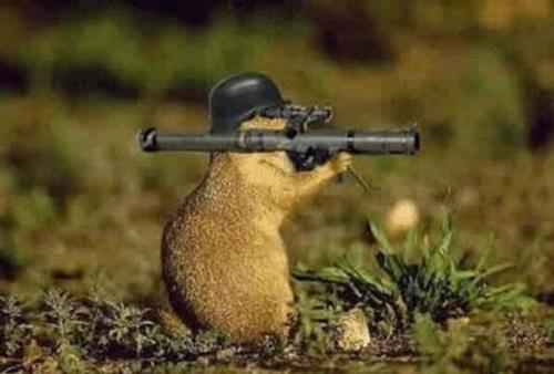 Oh, dont hurt me - He is dangerous