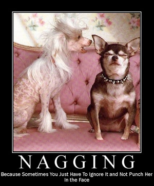 Nagging dogs - Female dog nagging male dog