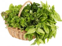 Greens - nature gives us food