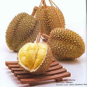 durian - i like durian