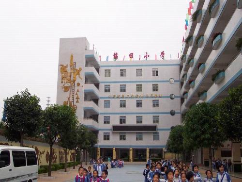 elementary school - elementary school-long time ago