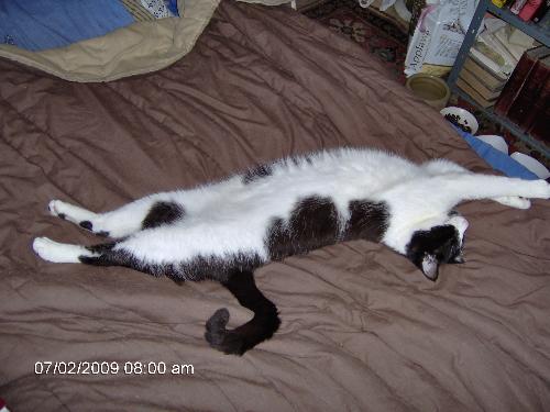 Felix - This is my Felix.