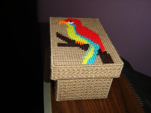 Parrot Tinker Box - Kids love these. Made with plastic canvas.