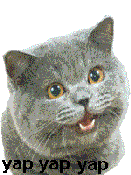 yap cat - When you need to shut someone up.