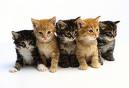 we are a family! - I got all my sisters with me!