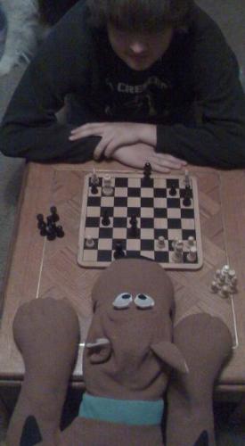 Chess Duel - Playing Chess
